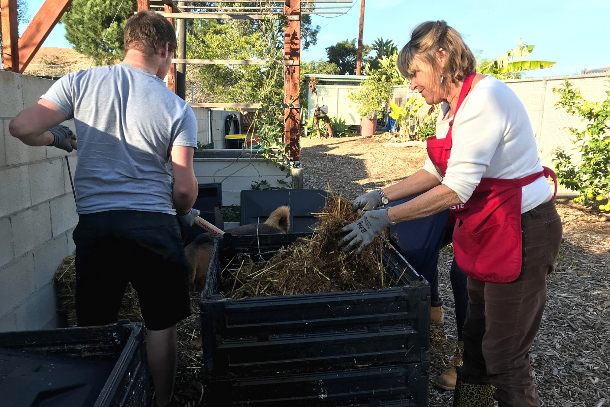 compost bin master composter