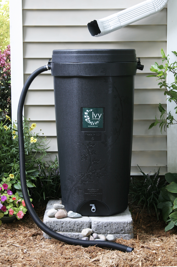 Rain barrel