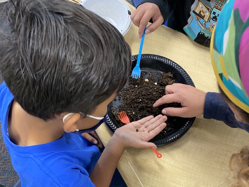 Kid participating in composting event