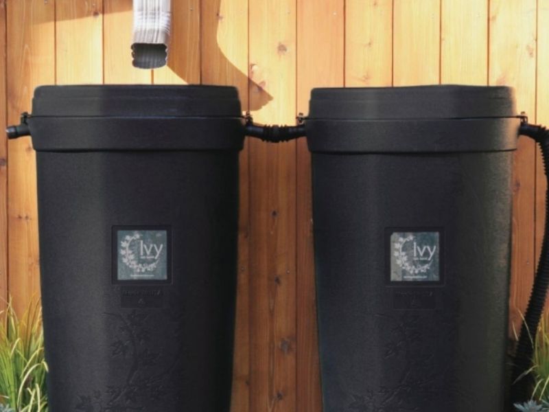 Rain barrels linked 800x600