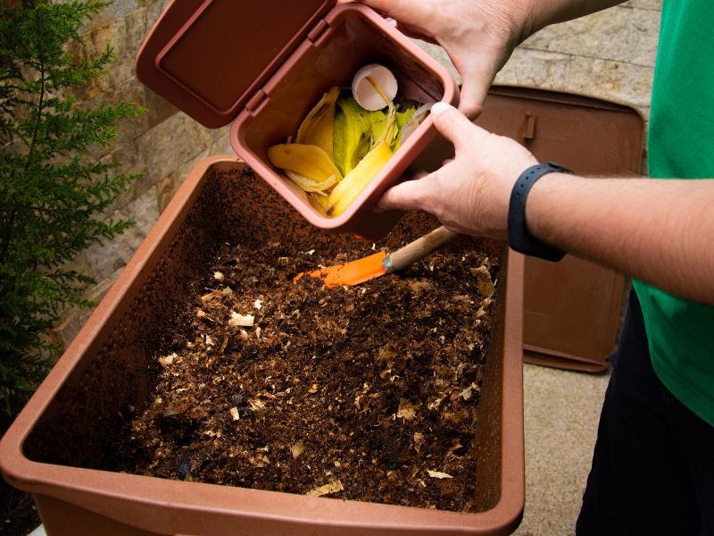 worm compost bin