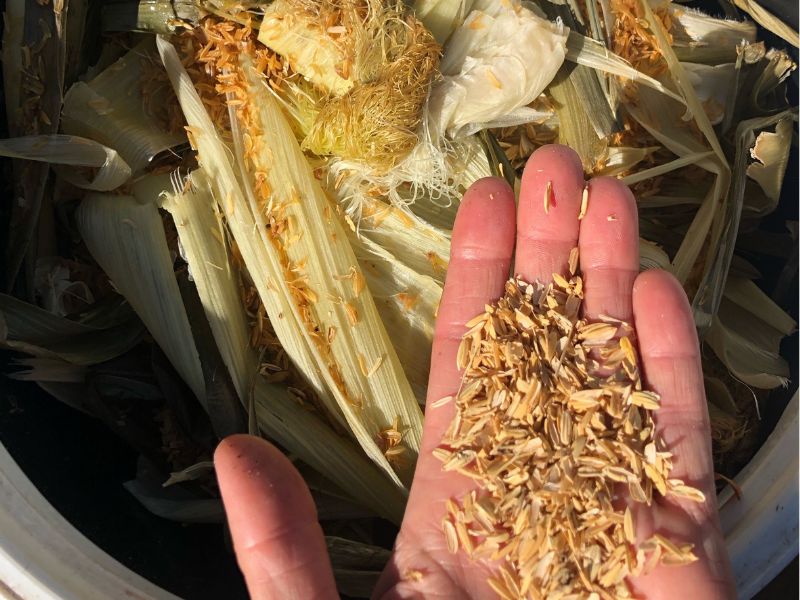 Japanese: Bokashi: The Japanese Composting Method That's Ideal For