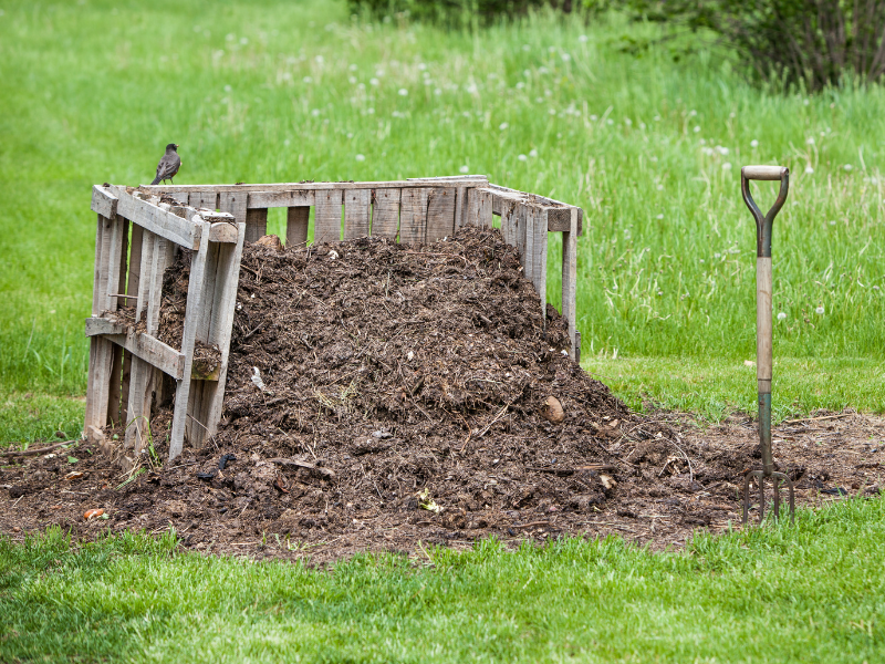 63,031 en la categoría «Compost jardin» de fotos e imágenes de