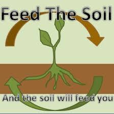 Feed The Soil