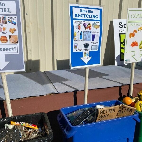 3 bin waste sorting station